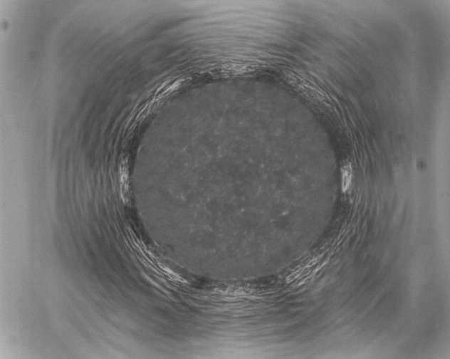 X0000059241011200510141057