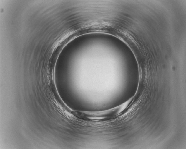 X0000059241018200510141057