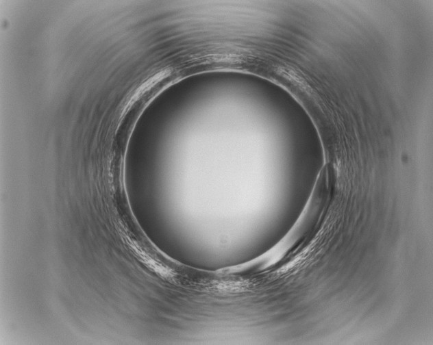 X0000059241026200510141057