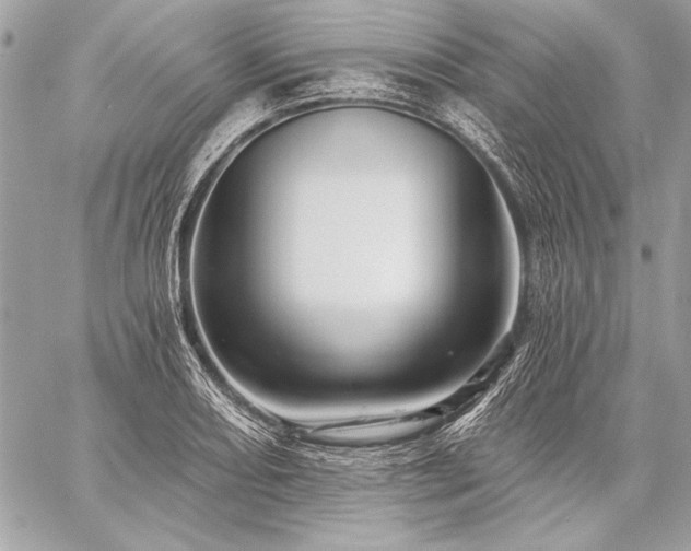 X0000059241082200510141057