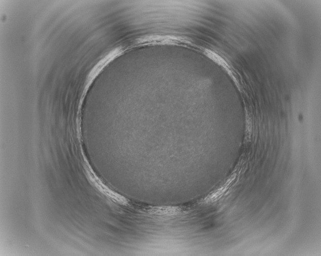 X0000059241090200510141056