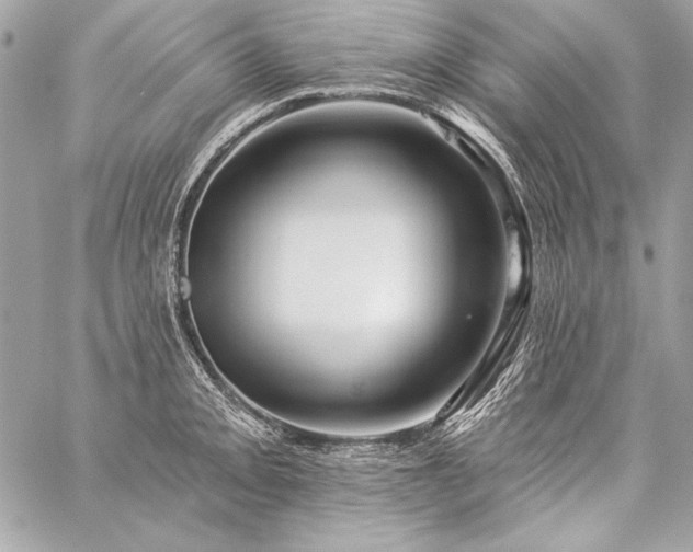 X0000059241093200510141056