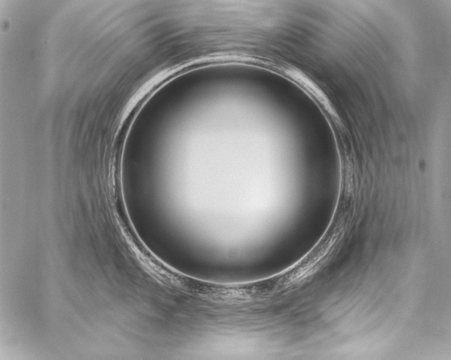 X0000059241101200510141056
