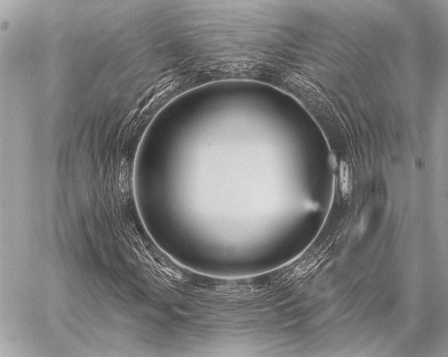 X0000059241107200510141055