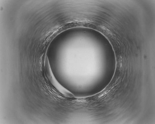 X0000059241110200510141056