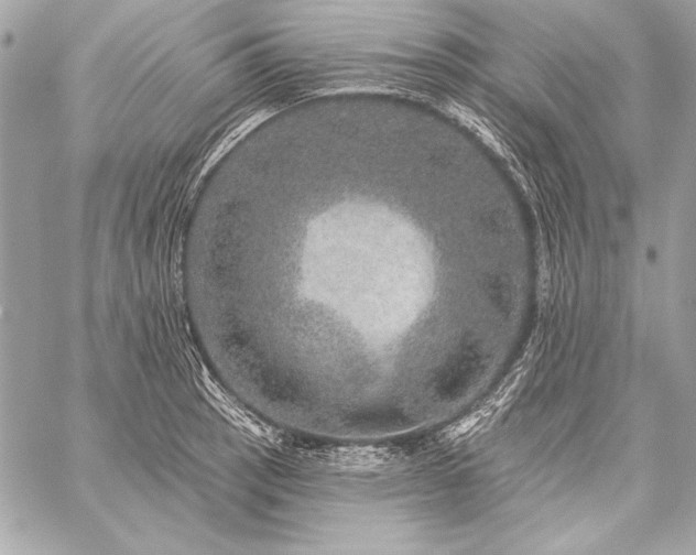 X0000059241137200510141056