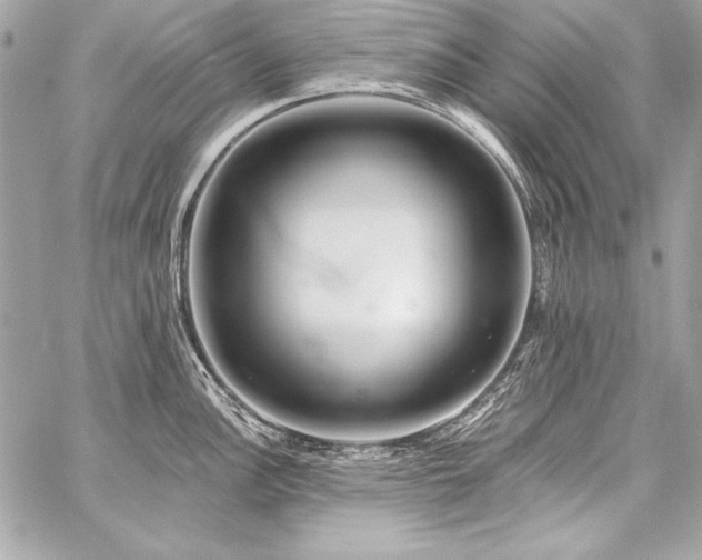 X0000059241148200510141056