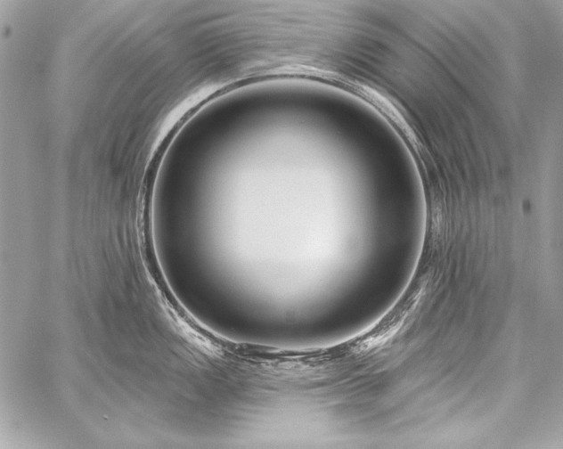 X0000059241149200510141056
