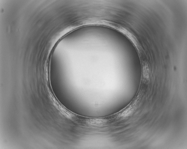 X0000059241150200510141056