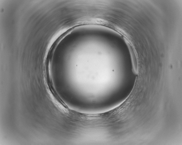 X0000059241152200510141056