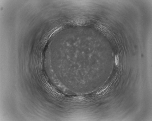 X0000059241155200510141055