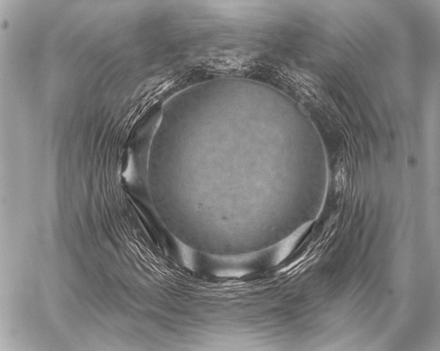 X0000059241156200510141055