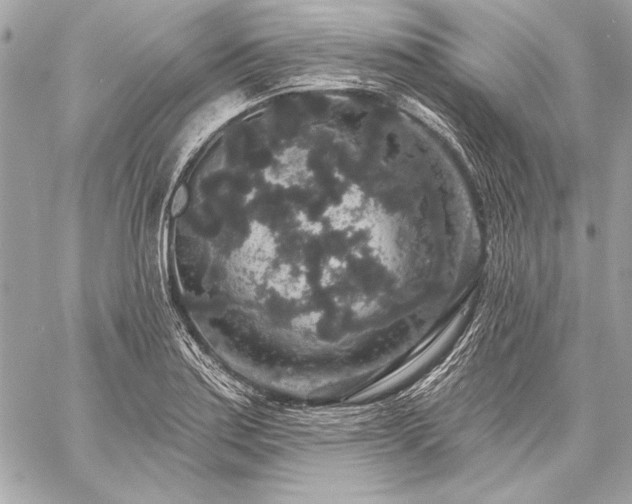 X0000059241179200510141055