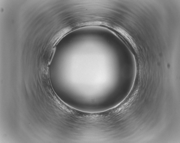 X0000059241193200510141055