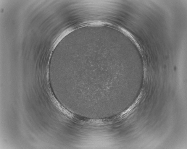 X0000059241194200510141055