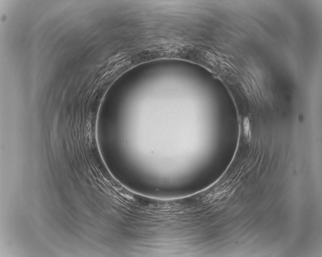X0000059241203200510141054