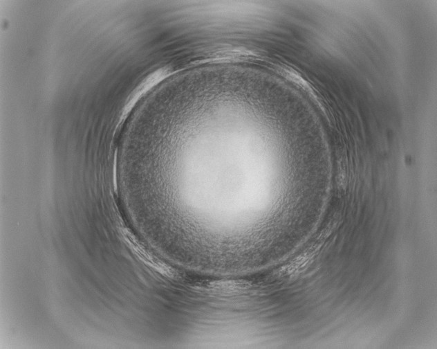 X0000059241227200510141054