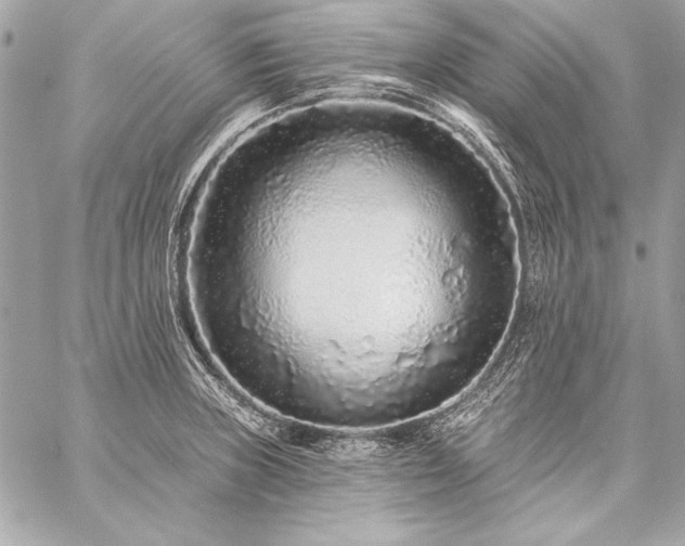 X0000059241235200510141054