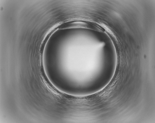 X0000059241238200510141054