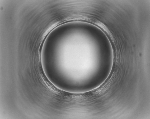 X0000059241242200510141055