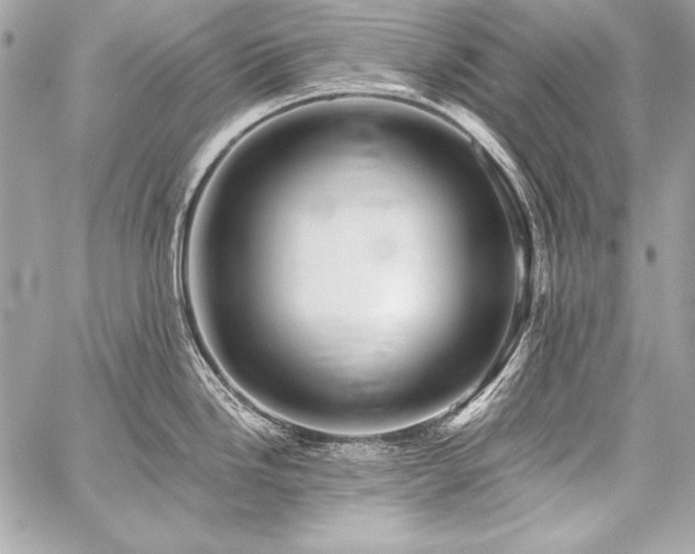 X0000059241246200510141055