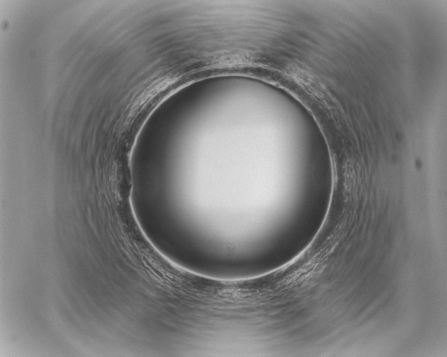 X0000059241265200510141054