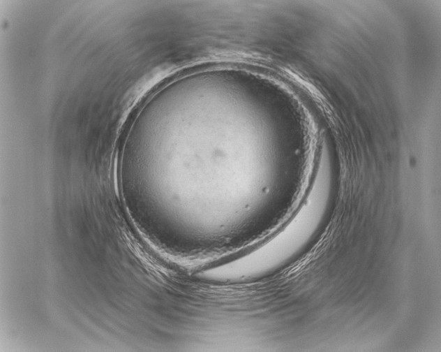 X0000059241272200510141053