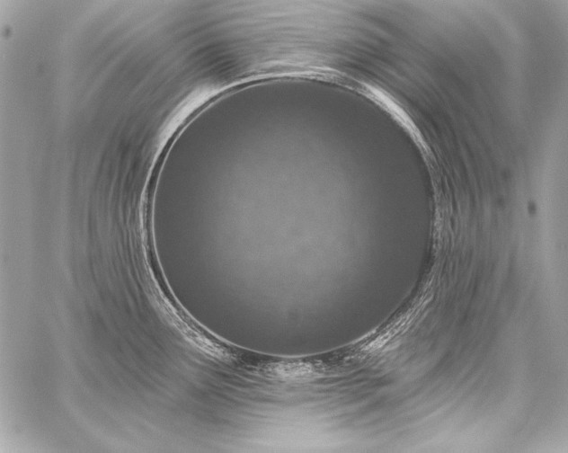 X0000059241291200510141053