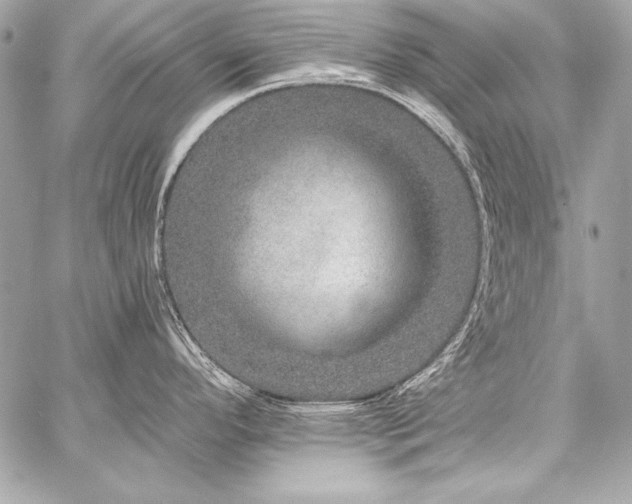 X0000059241296200510141053