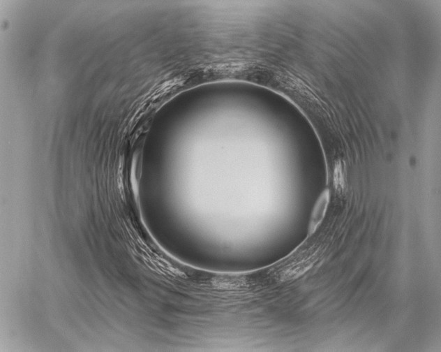 X0000059241299200510141052