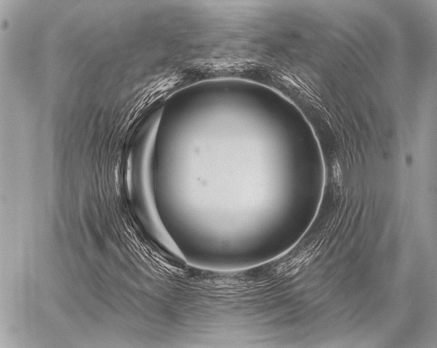 X0000059241300200510141052