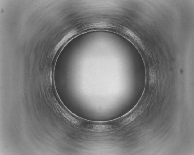 X0000059241322200510141053