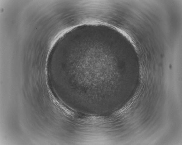 X0000059241327200510141053