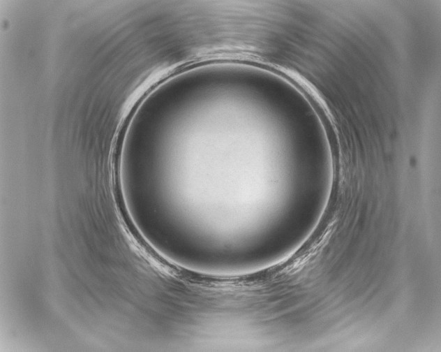 X0000059241341200510141053