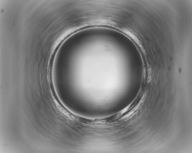 X0000059241342200510141053