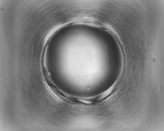 X0000059241344200510141053