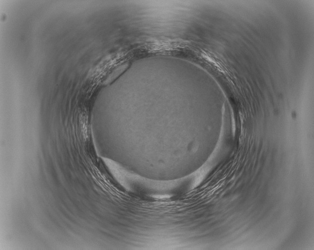 X0000059241348200510141052