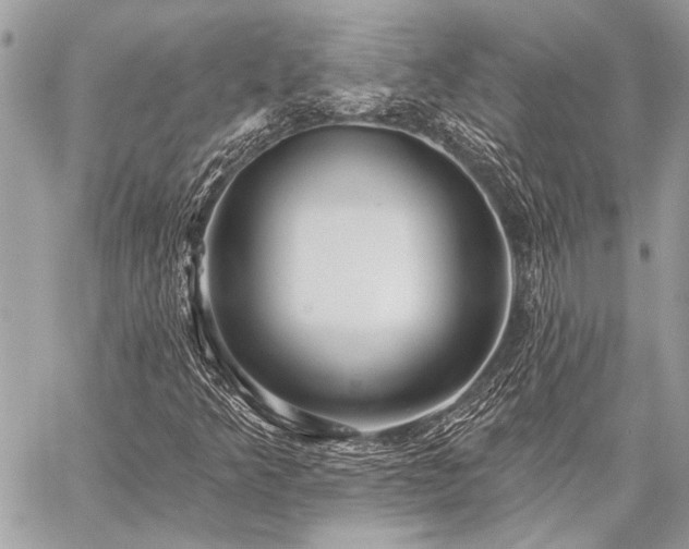 X0000059241349200510141052