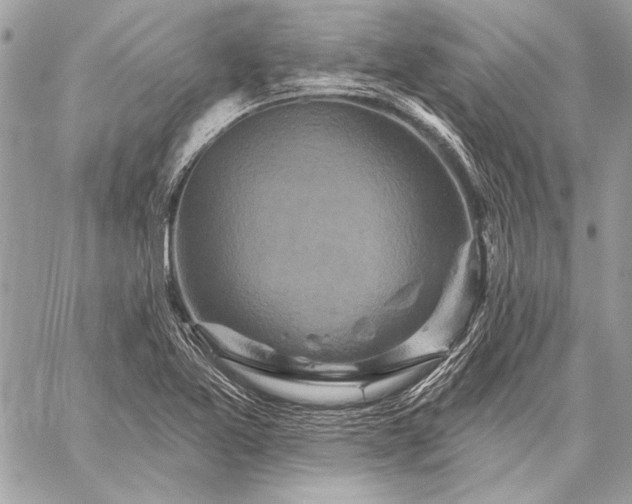 X0000059241365200510141052