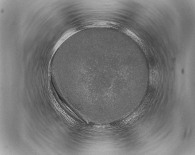 X0000059241378200510141052