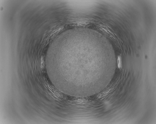 X0000059241395200510141051