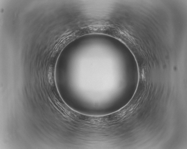 X0000059241396200510141051