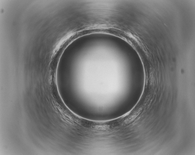X0000059241406200510141051