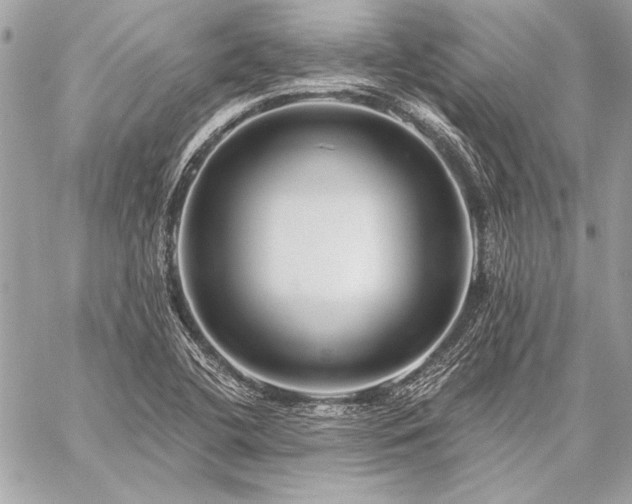 X0000059241412200510141051