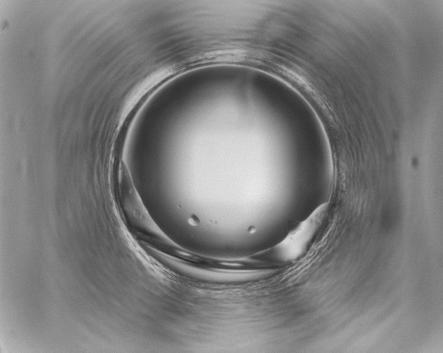 X0000059241426200510141051