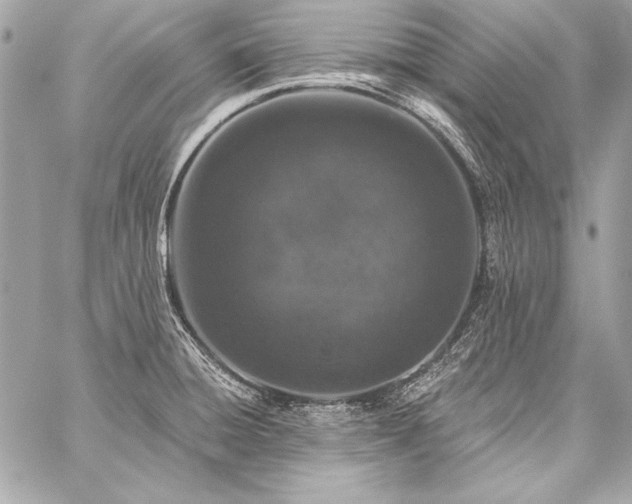 X0000059241428200510141051