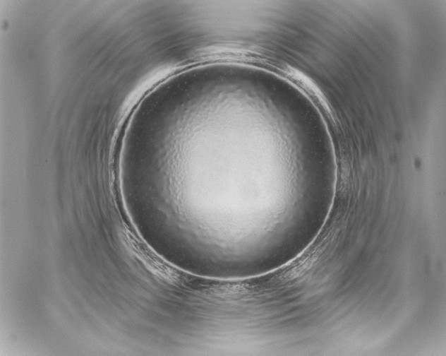 X0000059241435200510141051