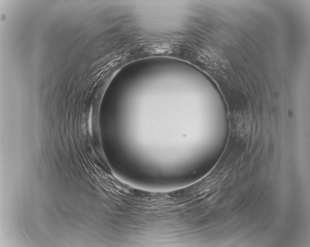 X0000059241442200510141051