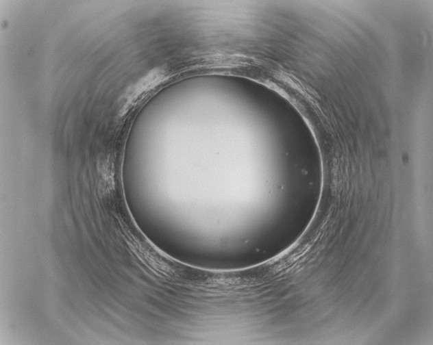 X0000059241451200510141051