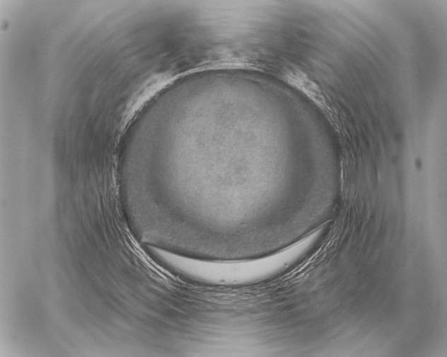 X0000059241452200510141050
